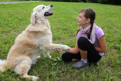 Signs Your Dog May Need Professional Behavior Training Sooner Than You Think