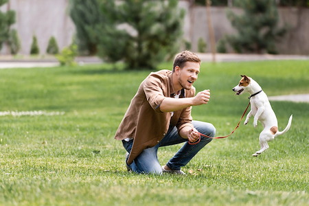 Signs Your Dog’s Jumping Behavior Is More Than Just Excitement