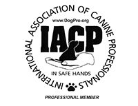 IACP Logo Professional