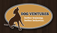 Focus Factor, logo-dog-ventures